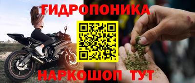 ешки Новозыбков