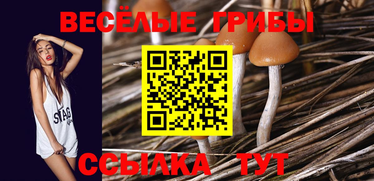 Псилоцибиновые грибы ЛСД  Вход с VPN  Саратов 