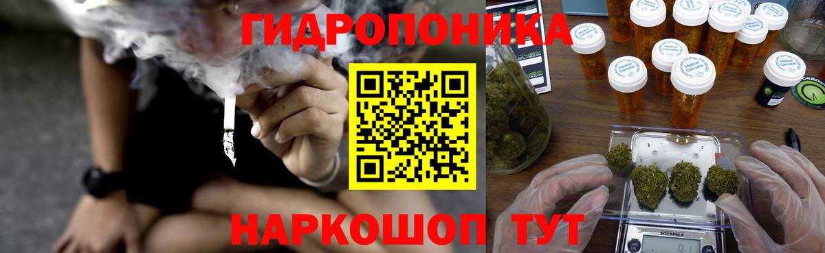 Саратов  Каннабис семена  Вход с VPN  Бошки Шишки гибрид 